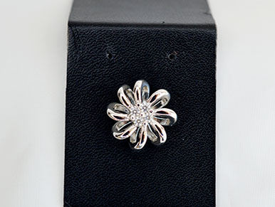 7301006 - Colgante plata