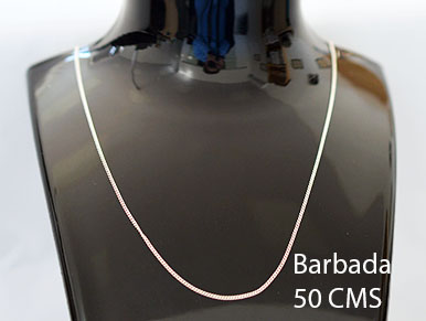7900027 - Collar plata